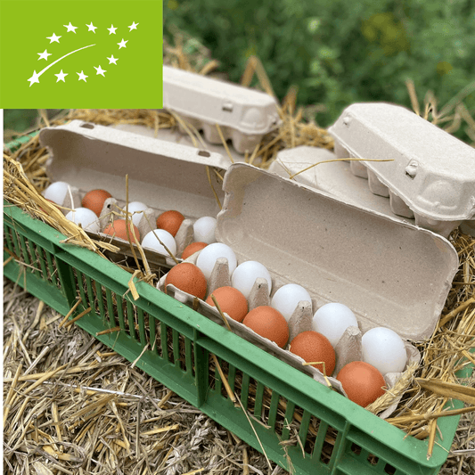 Jajka ekologiczne 40 sztuk